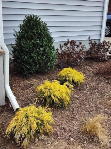 34 Scott Avenue Sayreville NJ 08879