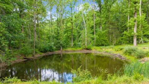 37 Brookville Hollow Road Delaware NJ 08559