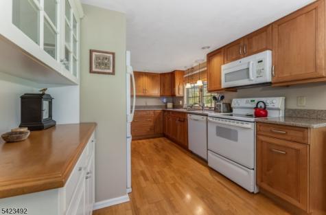 1100 Stanton Lebanon Road Clinton NJ 08833