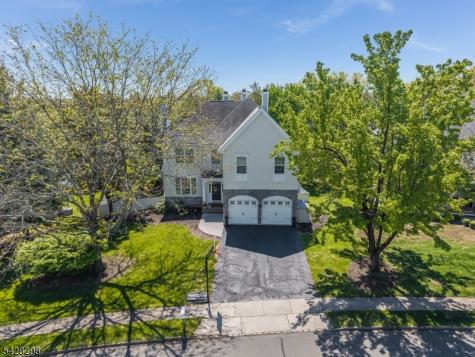 8 Miller Lane Readington NJ 08889