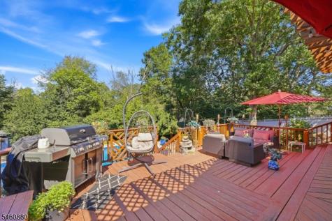 2 Sweet Briar Court Montgomery NJ 08502