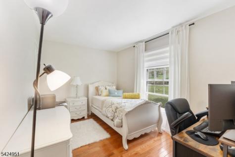 31 Welisewitz Road East Amwell NJ 08551