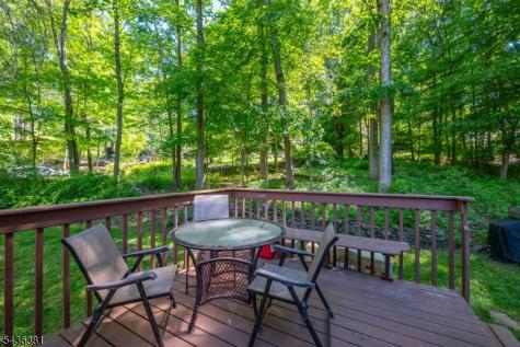 35 Windy Bush Lane Sparta NJ 07871