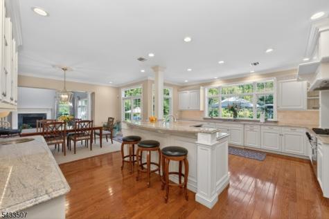 9 Haven Hill Rise Raritan NJ 08822