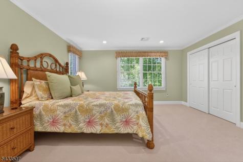 9 Haven Hill Rise Raritan NJ 08822