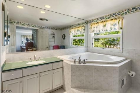 11 Powder Horn Drive Morris NJ 07960