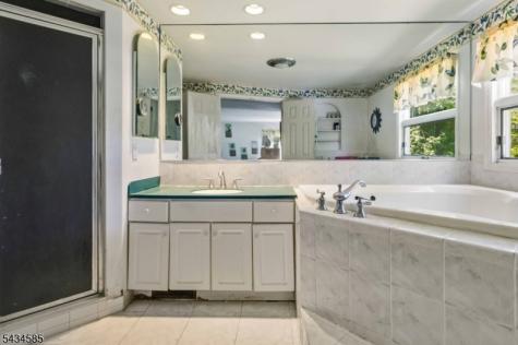 11 Powder Horn Drive Morris NJ 07960