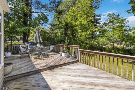 11 Powder Horn Drive Morris NJ 07960