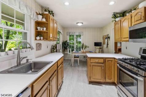 11 Powder Horn Drive Morris NJ 07960