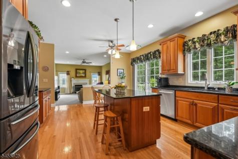 17 Burniston Court Hillsborough NJ 08844