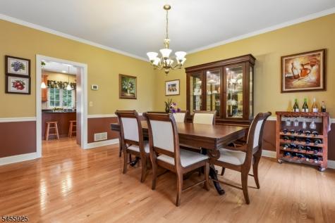 17 Burniston Court Hillsborough NJ 08844