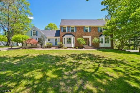 6 Windsor Court Clinton NJ 08801