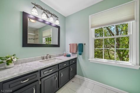 6 Windsor Court Clinton NJ 08801