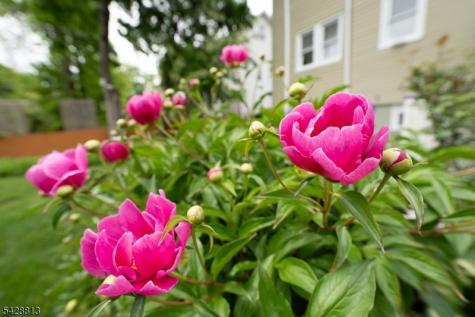 56 Woodside Road Maplewood NJ 07040