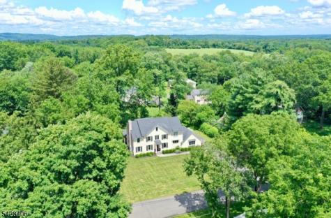 40 Sunnybrook Road Bernards NJ 07920