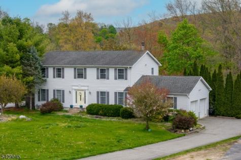 20 Willow Grove Court Ogdensburg NJ 07439
