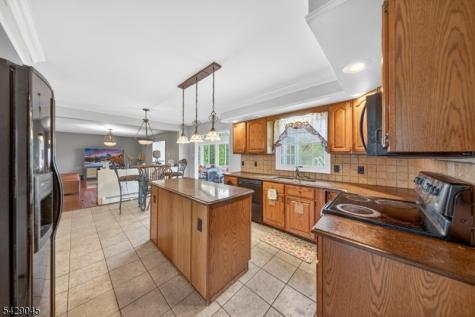 20 Willow Grove Court Ogdensburg NJ 07439