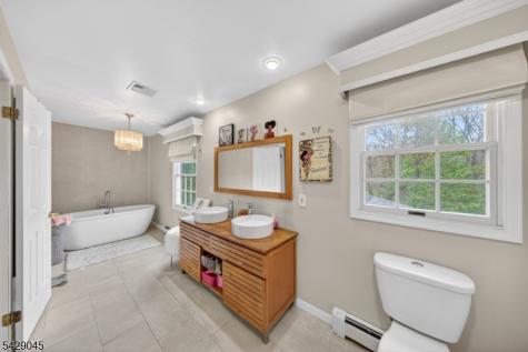 20 Willow Grove Court Ogdensburg NJ 07439