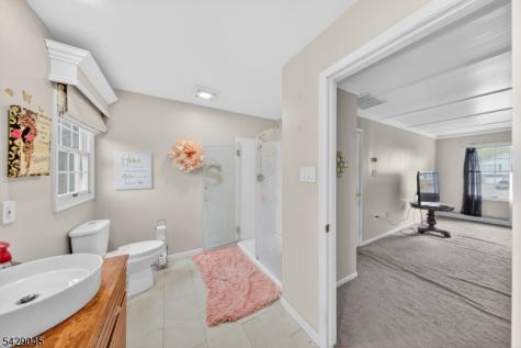 20 Willow Grove Court Ogdensburg NJ 07439