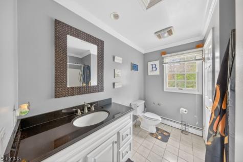 20 Willow Grove Court Ogdensburg NJ 07439