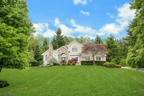 5 Coe Farm Road Mendham NJ 07945