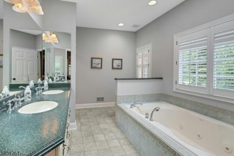 5 Coe Farm Road Mendham NJ 07945
