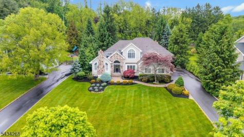 5 Coe Farm Road Mendham NJ 07945