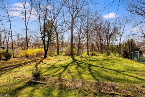 13 Hilldale Road Montville NJ 07058