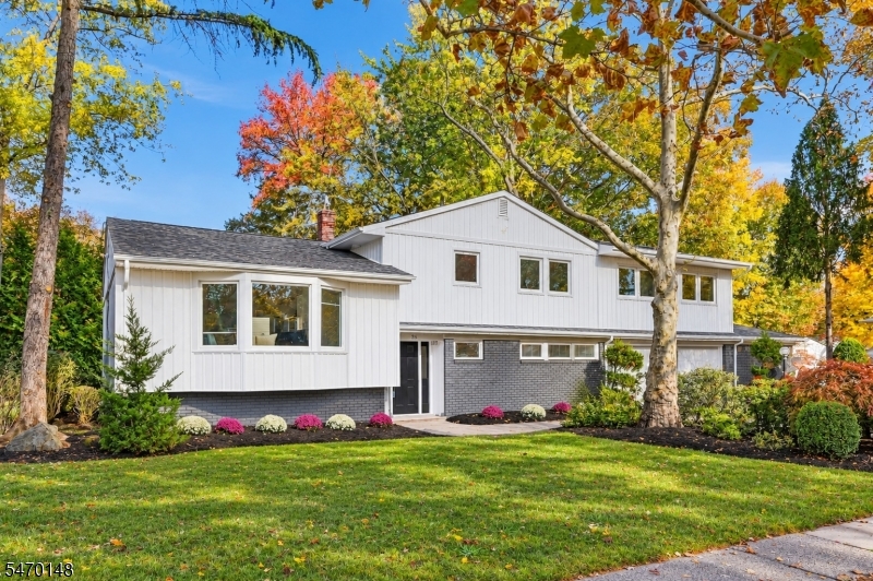 95 Redwood Road Springfield NJ 07081