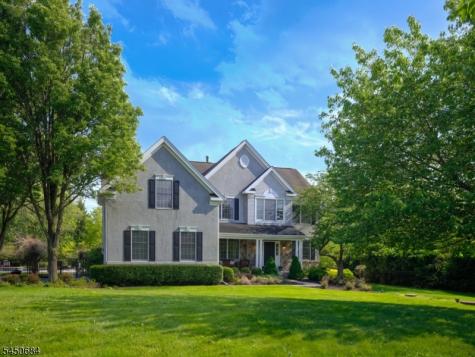 3 Williamson Lane West Amwell NJ 08530