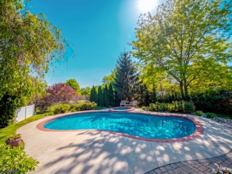 3 Williamson Lane West Amwell NJ 08530