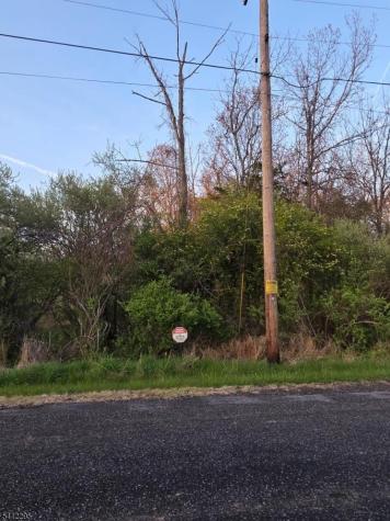 56 Old Route12 Kingwood NJ 08825