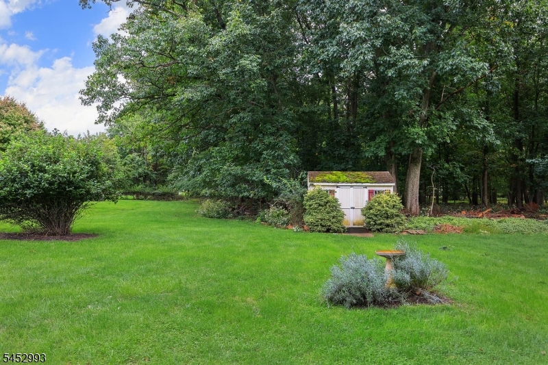 3 Ivy Lane Hillsborough NJ 08844