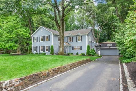 38 Valley View Avenue Summit NJ 07901