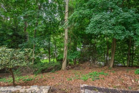 38 Valley View Avenue Summit NJ 07901