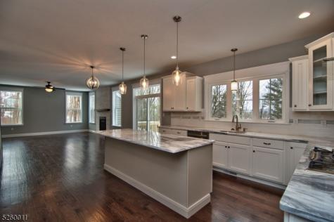 10 Holcombe Grove Road West Amwell NJ 08530
