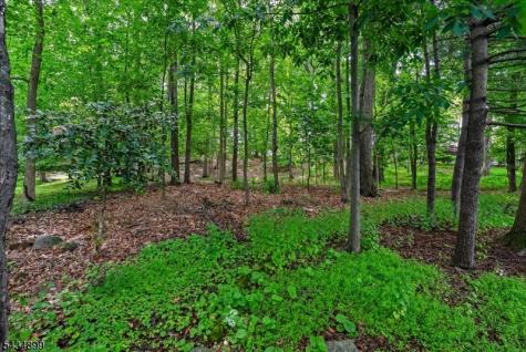 1110 Minisink Way Westfield NJ 07090