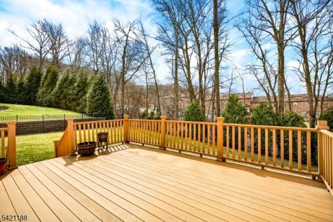 6 Hunter Drive Mount Olive NJ 07828