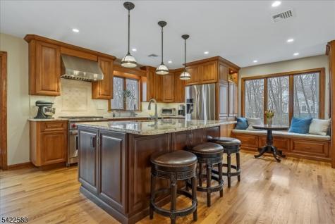 97 Skyline Drive Sparta NJ 07871