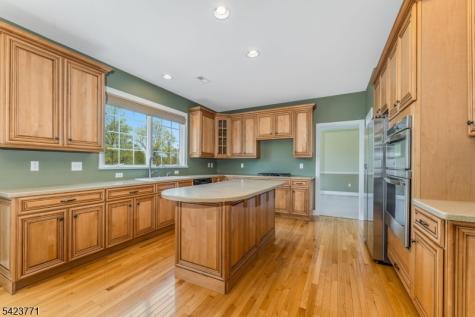 61 Albert Drive Union NJ 08809