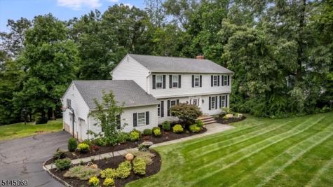 81 Poplar Drive Hanover NJ 07950