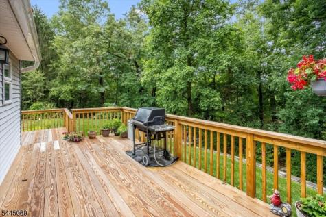81 Poplar Drive Hanover NJ 07950