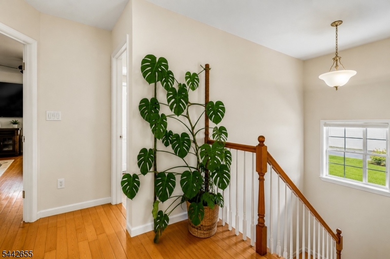 1635 Mabel Street Piscataway NJ 08854