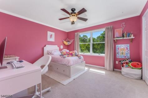 15 Chalfonte Drive Clinton NJ 08833