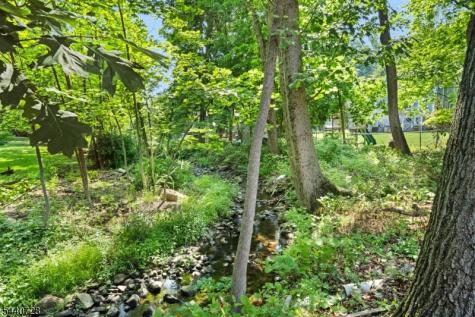 34 Orchard Square Caldwell Boro NJ 07006