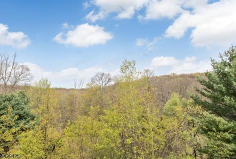 432 Rock Ridge Road Jefferson NJ 07849