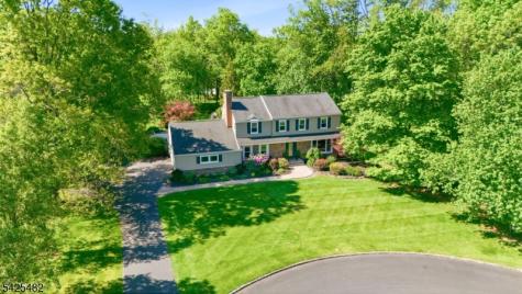 11 Barbara Drive Hillsborough NJ 08844