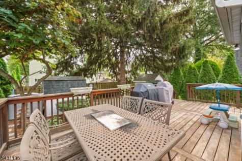 28 Mountain Avenue Bloomfield NJ 07003