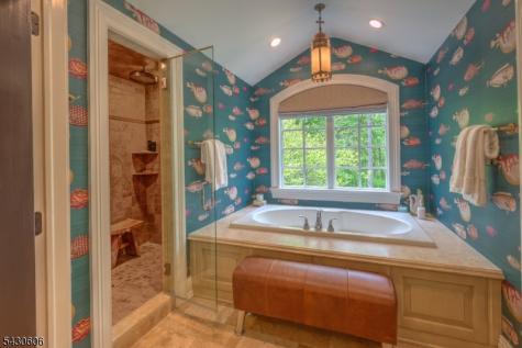 5 Burnett Road Mendham NJ 07945