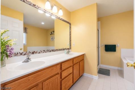 5 Pegasus Place Washington NJ 07840